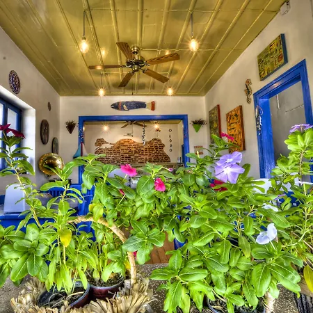 Hotel Cunda Mavi (adults Only) Ayvalik